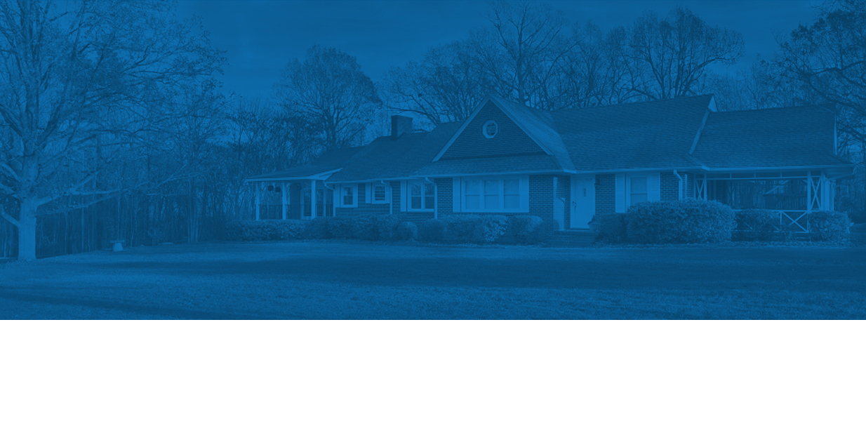 Top Dog | Training and Resort | Test slider page