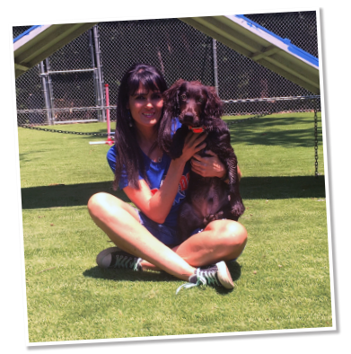 Top Dog | Training and Resort | Test slider page