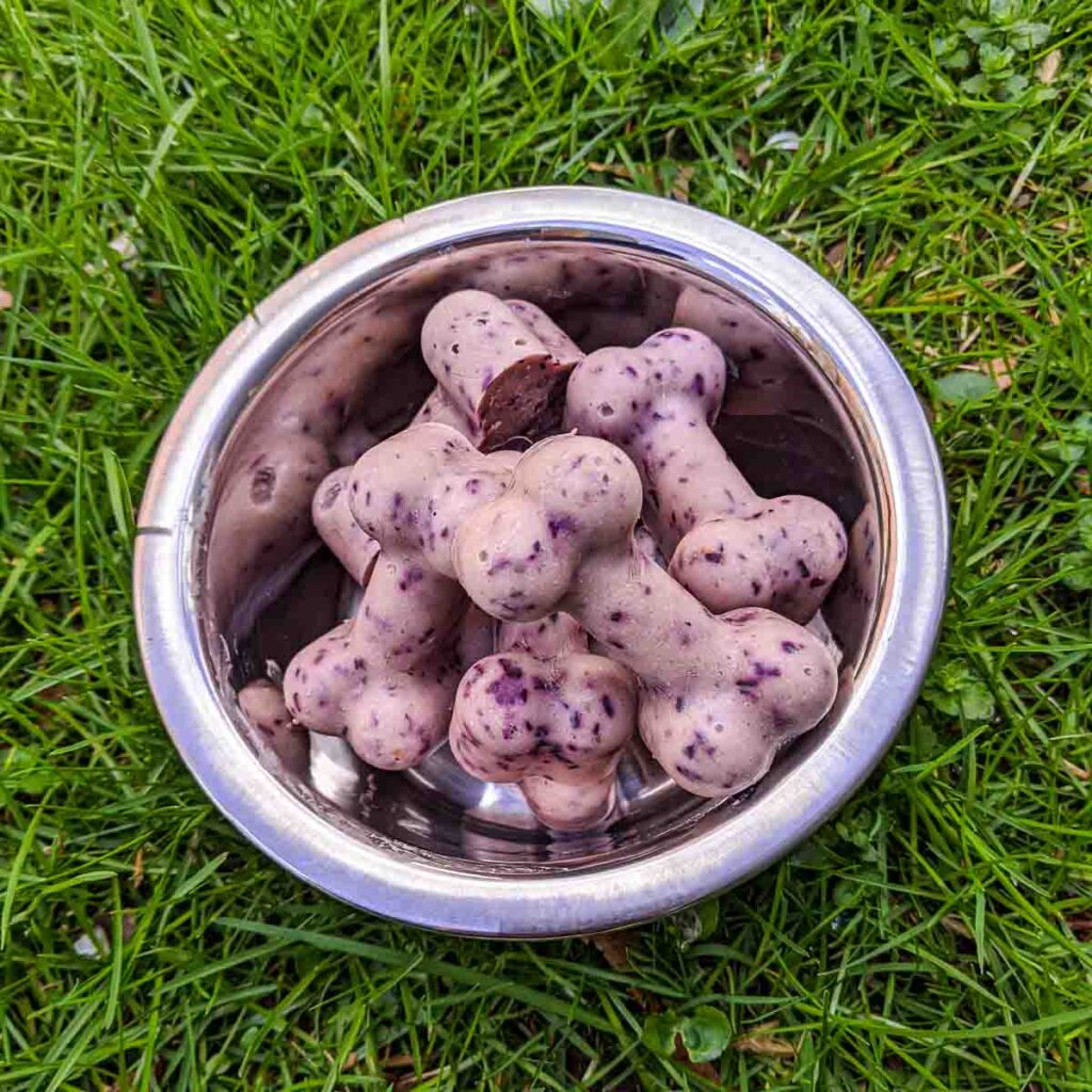 RIGHT THINK PET Goat Milk Freeze Dried Treats (Blueberry) main image 0