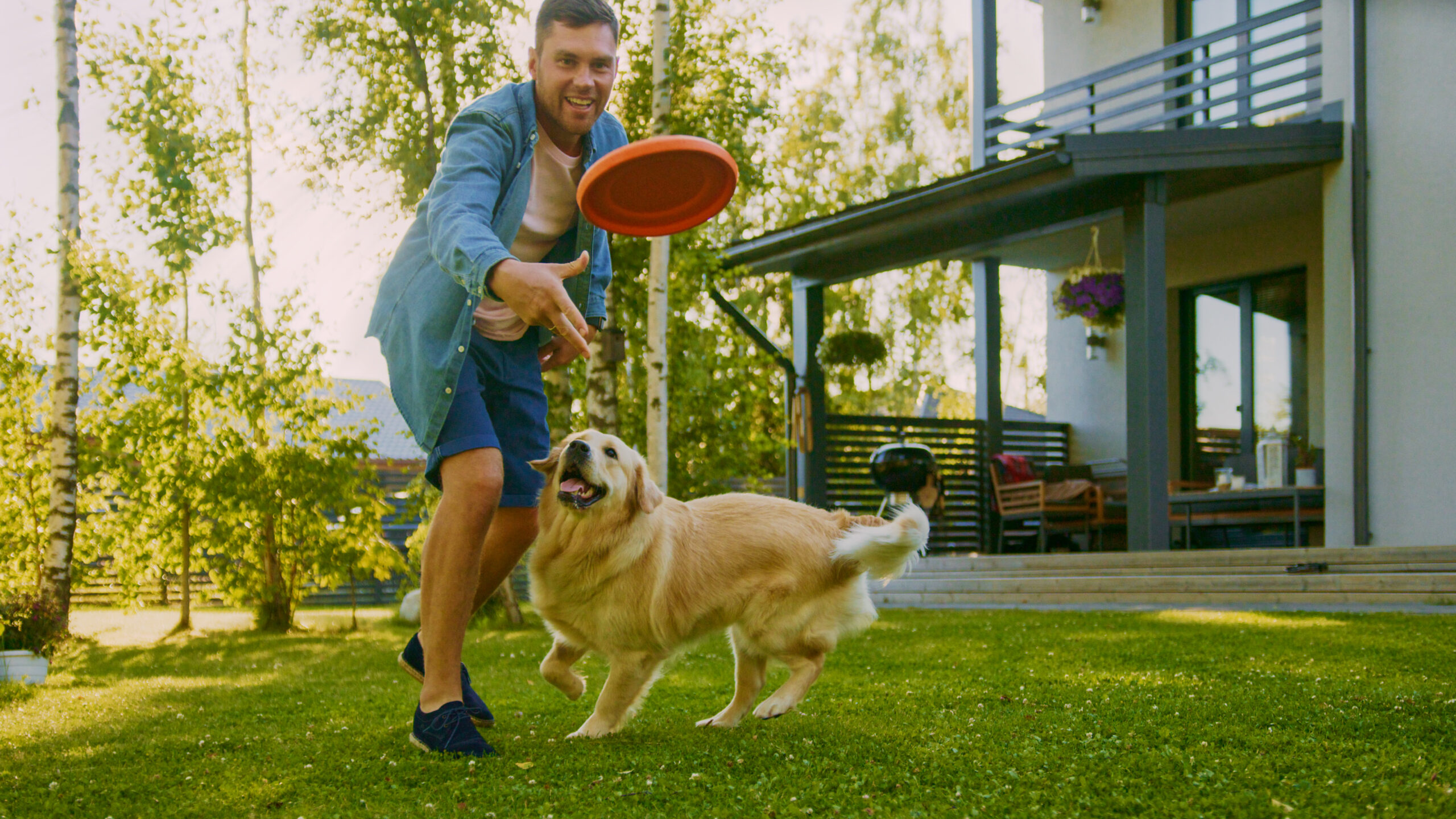Handsome,Man,Plays,Catch,Flying,Disc,With,Happy,Golden,Retriever