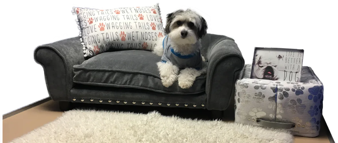 reddog Dog Training and Resort