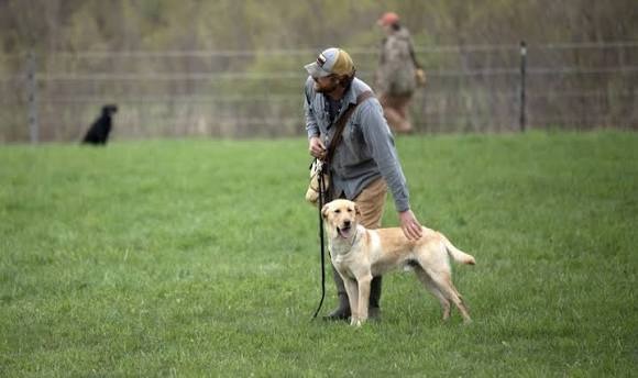 Dog training can help owners build better communication, encourage appropriate behavior, and create routines that make everyday life easier. For families looking for dog training in Hillsborough, NC, understanding the available training approaches and care options can make it easier to choose services that match their dog’s needs.